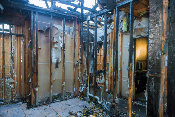 Professional Emergency Fire Cleanup technician working in Bellevue, WA